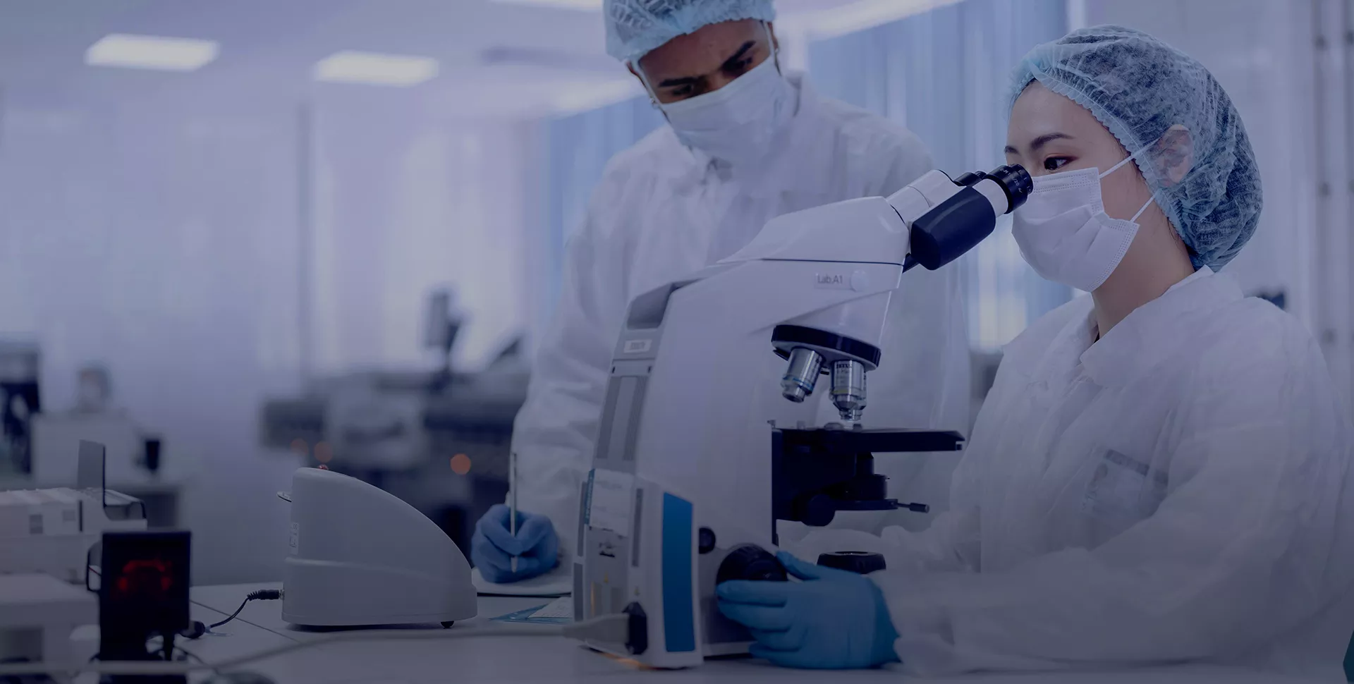 Co-extrusion Capabilities